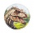 Matrica, tépőzáras, Classy Plus táskához, BELMIL "Lost World", dinoszaurusz